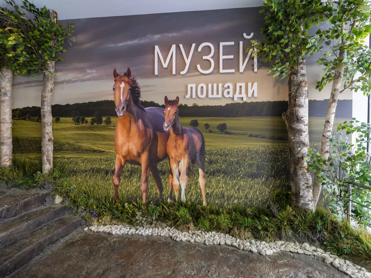 Афиша: Обзорная экскурсия по интерактивной экспозиции «Музей лошади» в Москве 25 октября 2026