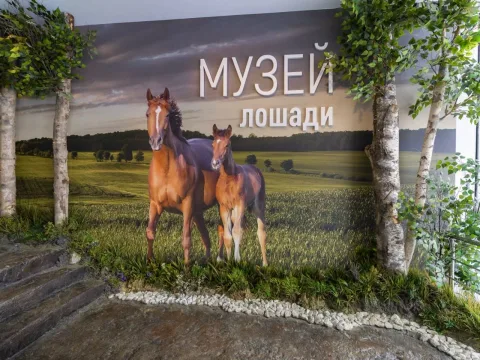 Афиша: Обзорная экскурсия по интерактивной экспозиции «Музей лошади» в Москве 25 октября 2026