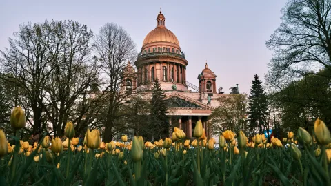 Афиша: Здесь были написаны шедевры: литературный тур по Петербургу в Санкт-Петербурге 9 августа 2026