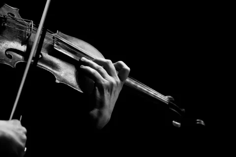 Афиша: Viola Da Rocka. Проект музыкантов «Крематория» в Москве 22 августа 2026