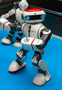 Афиша: Роботы в Сочи 7 августа 2026