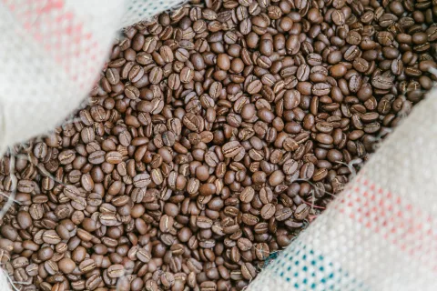 Афиша: Экскурсия, лекция и каппинг на производстве BunaCoffee в Твери 17 октября 2026