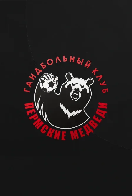 Афиша: Чемпионат России по гандболу. СУПЕРЛИГА 26/27. Команды: Пермские Медведи в Перми 11 сентября 2026