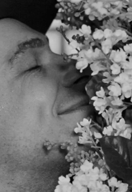 Афиша: Ветка сирени в Санкт-Петербурге 2 сентября 2026