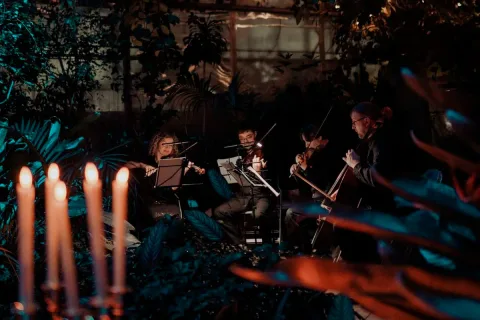 Афиша: Магия свечей. От Вивальди до Jingle Bells в оранжерее в Санкт-Петербурге 27 декабря 2026