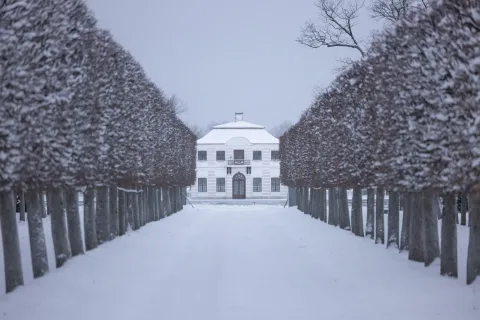 Афиша: Петергоф. Большой Императорский дворец в Санкт-Петербурге 1 ноября 2026