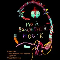 Афиша: Мой волшебный носок в Красноярске 14 октября 2026