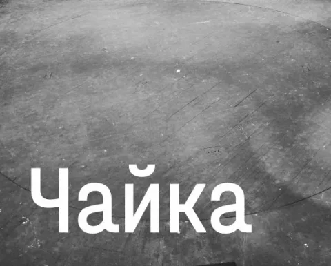 Афиша: Чайка в Краснодаре 17 ноября 2026