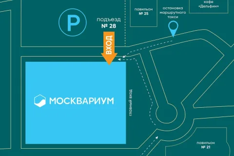 Афиша: Кощей в Москве 18 декабря 2026