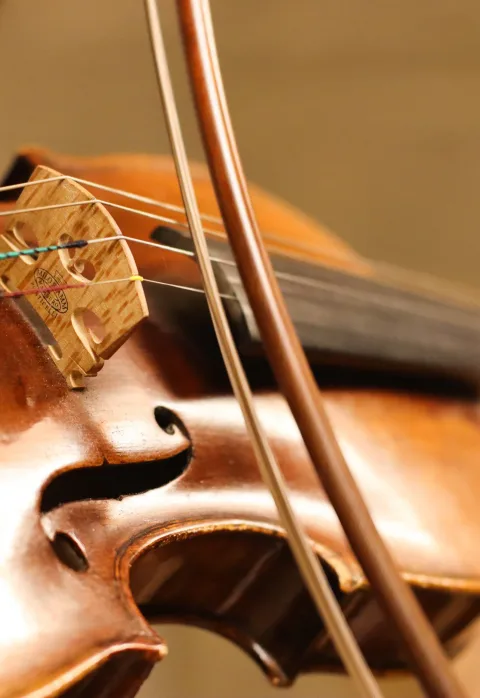 Афиша: VIVALDI. Времена года: Весна • Лето • Осень • Зима в Москве 30 сентября 2026