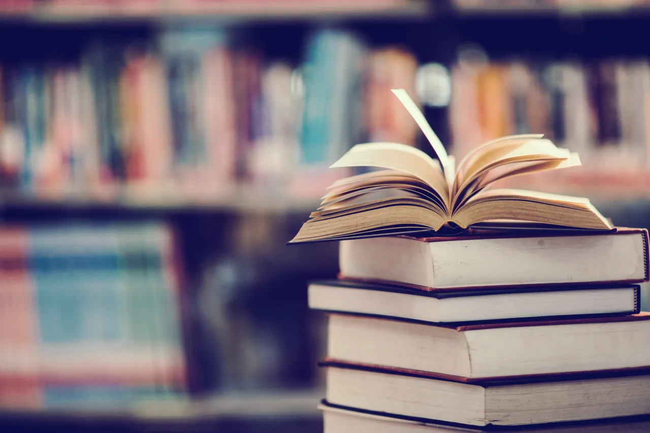 Афиша: Обсуждаем книгу Айрис Вольф «Проблески» в Твери 27 ноября 2026