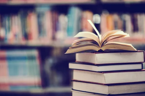 Афиша: Обсуждаем книгу Айрис Вольф «Проблески» в Твери 27 ноября 2026