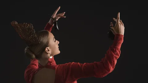 Афиша: Этно-фламенко в Барнауле 12 октября 2026
