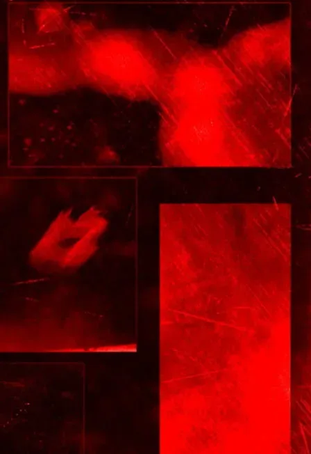Афиша: Blindfest в Твери 18 ноября 2026