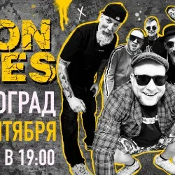 Афиша: Группа «The Iron Bees» 17й день рождения в Волгограде 16 октября 2026