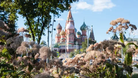 Афиша: Парк «Зарядье» — Красная площадь в Москве 26 сентября 2026