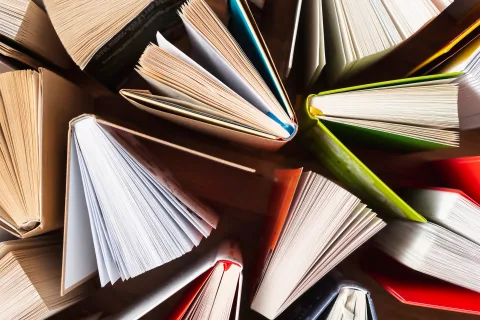 Афиша: Девушка с жемчужной серёжкой: книга, фильм, образ в Москве 27 сентября 2026