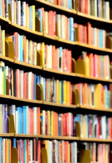 Афиша: Добро пожаловать в страну Читалию. Литературная игра в Ростове-на-Дону 19 ноября 2026