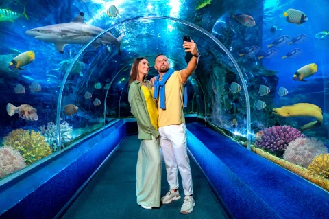Афиша: Океанариум Sochi Discovery World Aquarium в Сочи 25 октября 2026