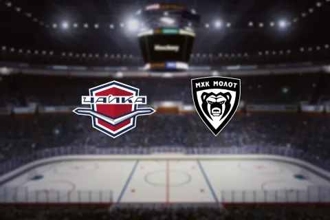 Афиша: Чайка — МХК Молот в Нижнем Новгороде 12 ноября 2026