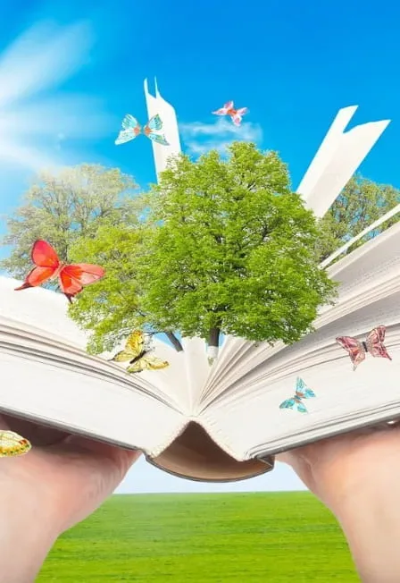 Афиша: Книги любим мы читать, и героев узнавать. Литературная игра в Ростове-на-Дону 11 декабря 2026
