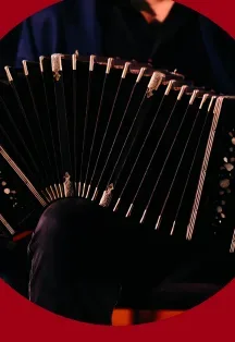 Афиша: Новый год в Буэнос-Айресе - время танго. Бандонеон, скрипка и рояль в старинном соборе в Москве 4 января 2027