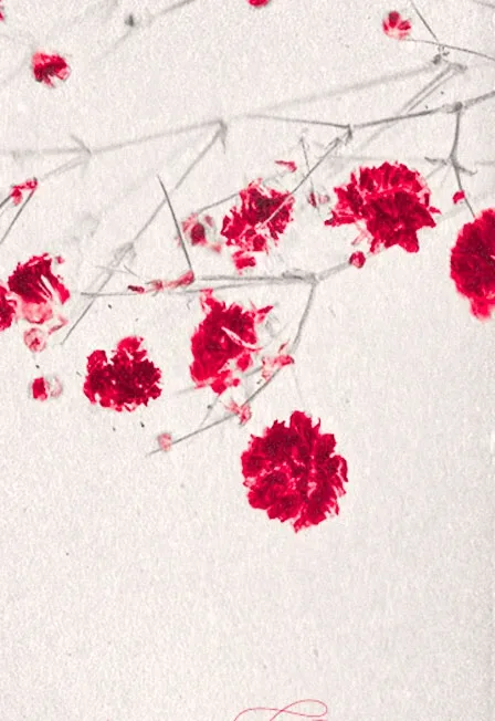 Афиша: Дарья Виардо в Санкт-Петербурге 8 октября 2026