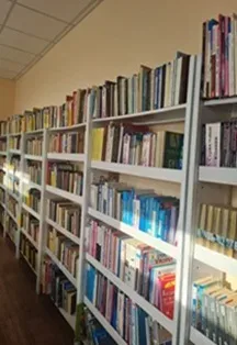 Афиша: Владимир Даль: жизнь и творчество в Ростове-на-Дону 20 ноября 2026