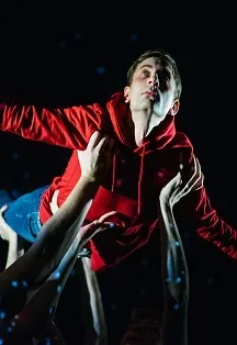 Афиша: Загадочное ночное убийство собаки в Архангельске 6 октября 2026