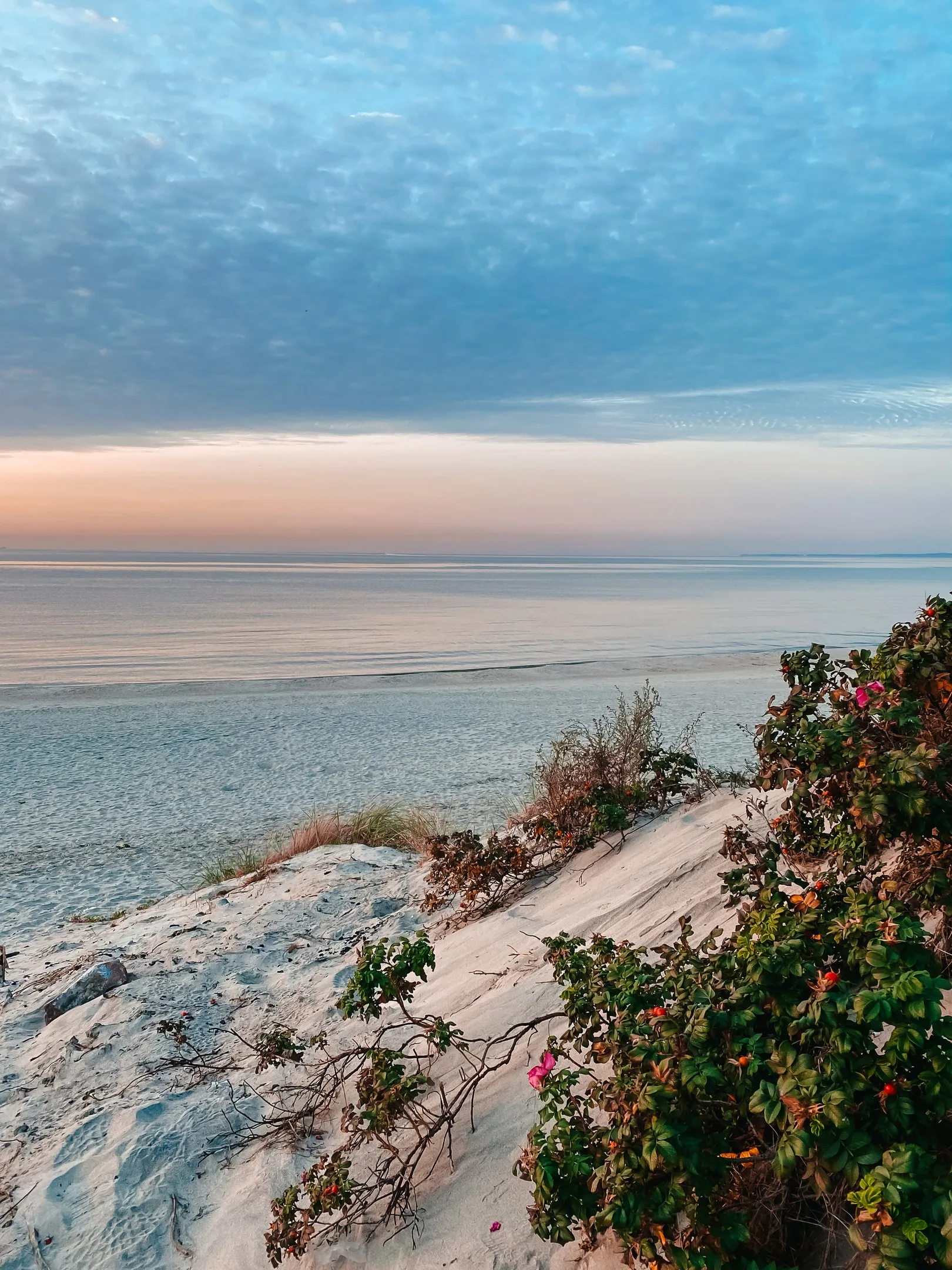 Афиша: Балтийск и Балтийская коса из Зеленоградска в Калининграде 5 апреля 2026