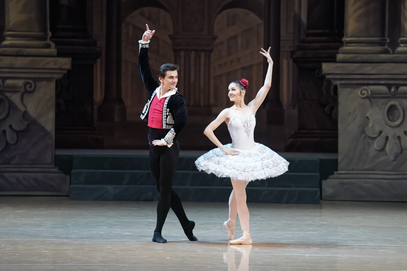 Афиша: Дон Кихот в Новосибирске 19 апреля 2026