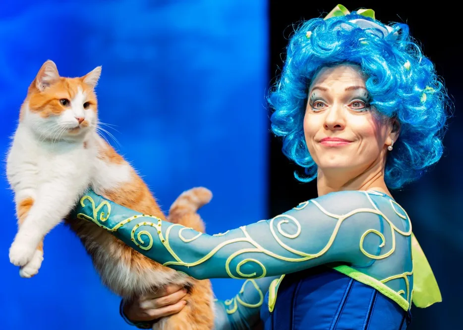 Афиша: Коты спасают мир в Воскресенске 4 апреля 2026