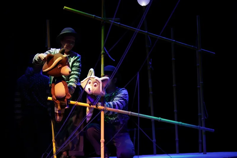 Афиша: Крошка Енот в Кемерово 5 апреля 2026