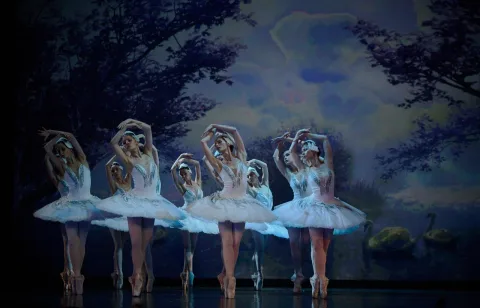 Афиша: Лебединое озеро в Санкт-Петербурге 27 апреля 2026