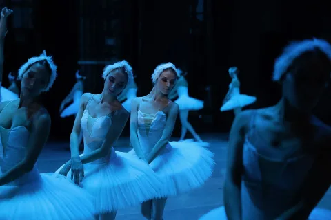 Афиша: Лебединое озеро в Улан-Удэ 29 апреля 2026