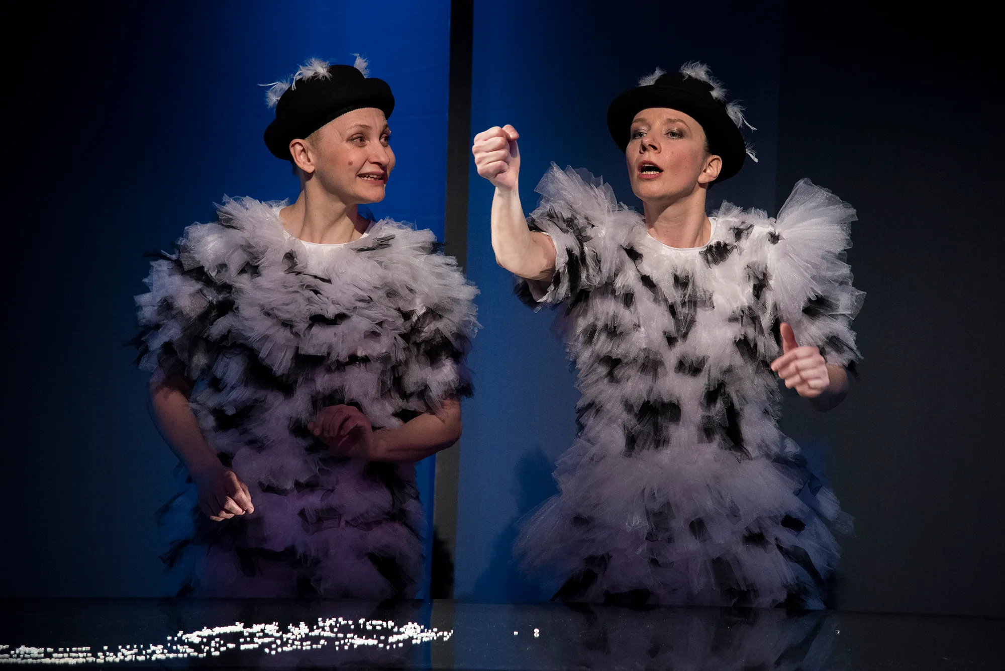 Афиша: Лебединое озеро в Великем Новгороде 2 апреля 2026