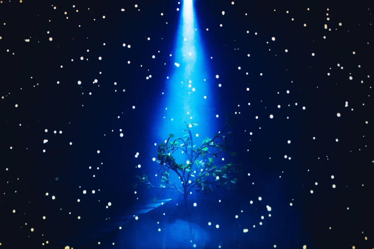 Афиша: Любовь и голуби в Хабаровске 10 апреля 2026