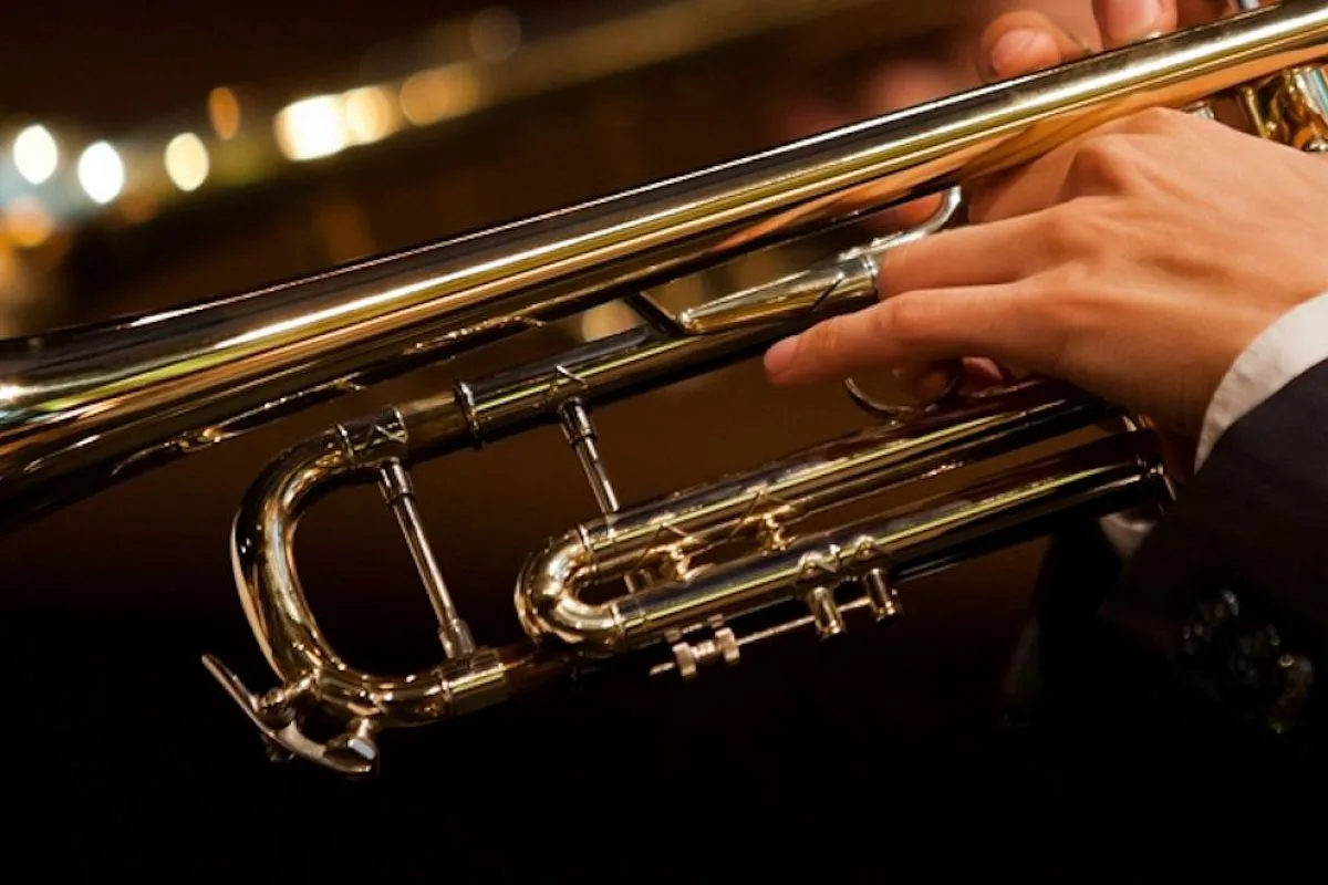 Афиша: Орган-оркестр: Интерстеллар, Король Лев, Пираты Карибского моря, Темный рыцарь в Москве 18 апреля 2026