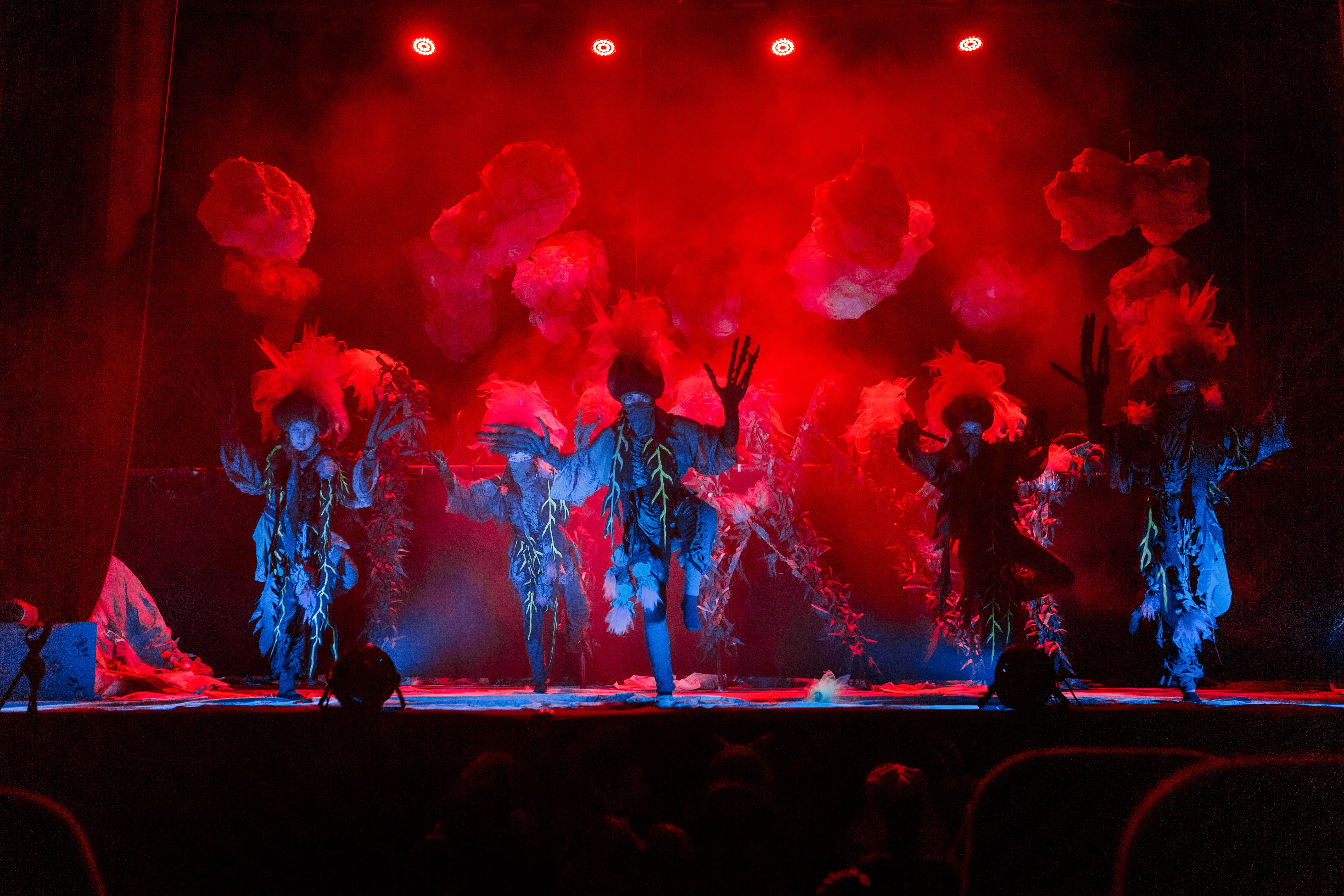 Афиша: Вперёд, Котёнок! в Краснодаре 11 апреля 2026