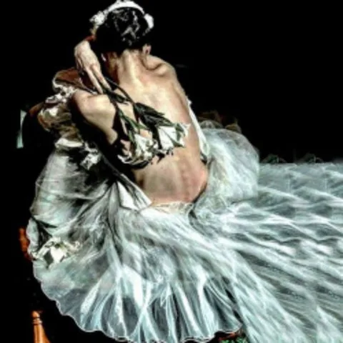 Афиша: Лето пируэта. Лебединое озеро в кузбассе 5 августа 2026