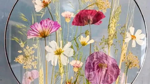 Афиша: Мастер-класс "пайка Картины Гербария под стеклом" в Санкт-Петербурге 1 августа 2026