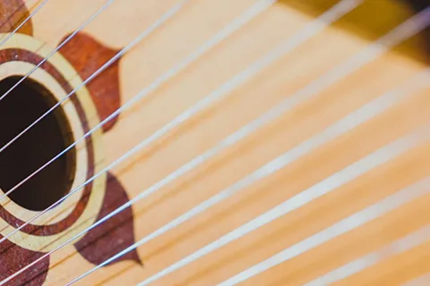 Афиша: Органный мир фэнтези: Гарри Поттер, Хроники Нарнии, Властелин колец, Игра престолов в Москве 29 августа 2026