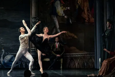 Афиша: Спящая красавица в Москве 14 августа 2026