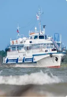 Афиша: Тайны подаренной реки. Экскурсия по Берди в Новосибирске 16 августа 2026