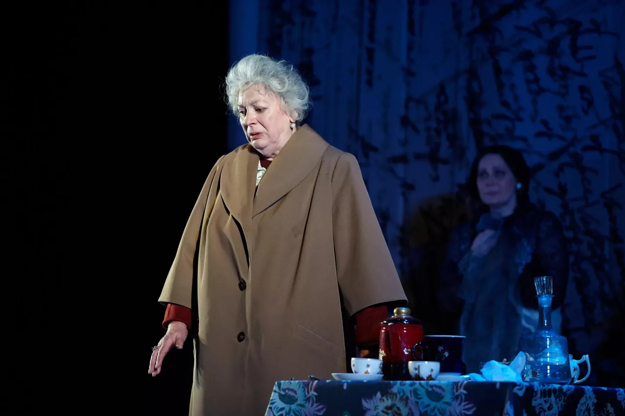 Афиша: Фаина. Птица, парящая в клетке в Тюмени 15 декабря 2026