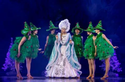 Афиша: С Новым годом! в Нижнем Новгороде 24 декабря 2026