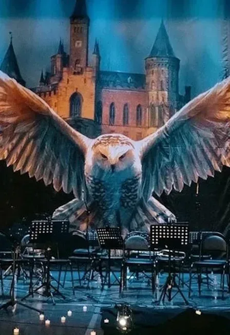 Афиша: Harry Potter. Magic Music в Москве 7 января 2027