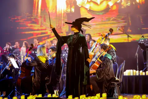 Афиша: Новый год в Хогвартсе в Новосибирске 7 января 2027