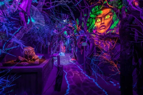 Афиша: Тайны морских глубин в Санкт-Петербурге 1 января 2027