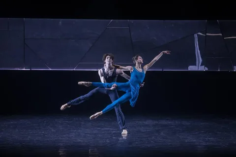 Афиша: Чайка. Балетная история в Москве 28 июля 2026